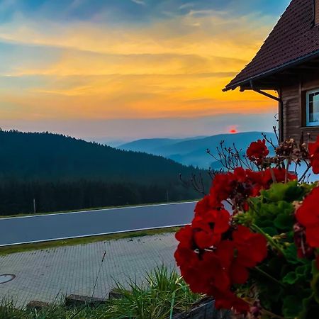 Pension Forsthaus Taele - Das Gaestehaus Vom Schwarzwaldgasthaus Salenhof Титизее-Нойштадт Экстерьер фото