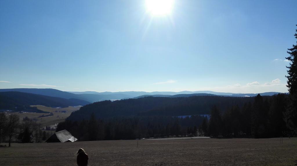 Pension Forsthaus Taele - Das Gaestehaus Vom Schwarzwaldgasthaus Salenhof Титизее-Нойштадт Экстерьер фото