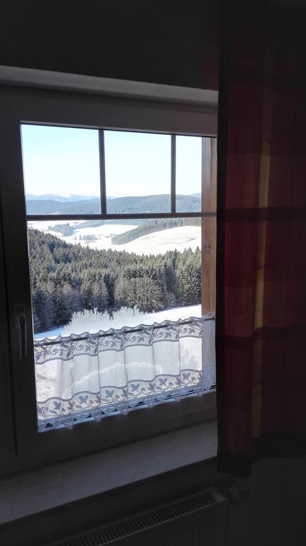 Pension Forsthaus Taele - Das Gaestehaus Vom Schwarzwaldgasthaus Salenhof Титизее-Нойштадт Экстерьер фото