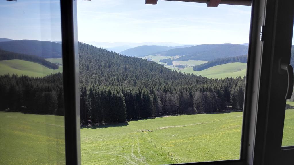 Pension Forsthaus Taele - Das Gaestehaus Vom Schwarzwaldgasthaus Salenhof Титизее-Нойштадт Экстерьер фото
