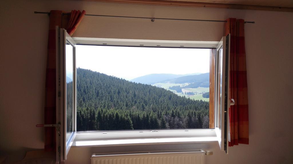 Pension Forsthaus Taele - Das Gaestehaus Vom Schwarzwaldgasthaus Salenhof Титизее-Нойштадт Экстерьер фото