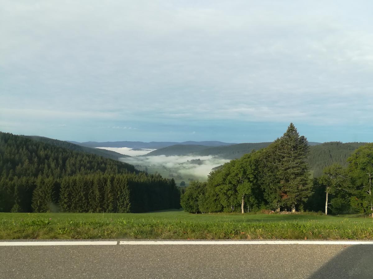 Pension Forsthaus Taele - Das Gaestehaus Vom Schwarzwaldgasthaus Salenhof Титизее-Нойштадт Экстерьер фото