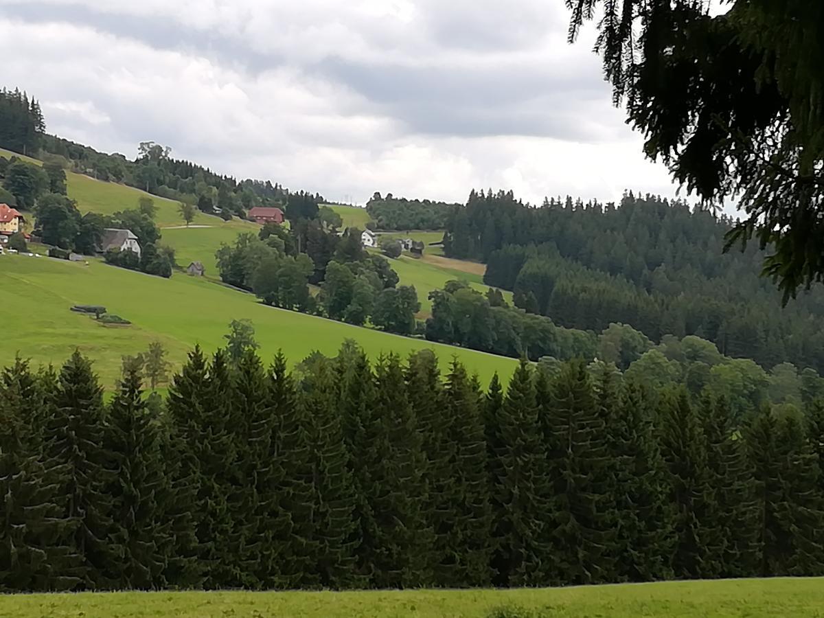 Pension Forsthaus Taele - Das Gaestehaus Vom Schwarzwaldgasthaus Salenhof Титизее-Нойштадт Экстерьер фото