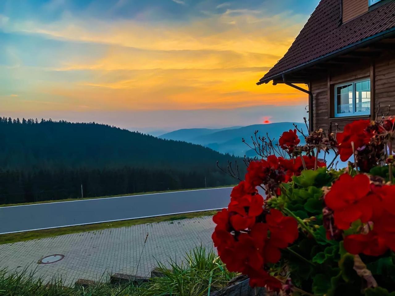 Pension Forsthaus Taele - Das Gaestehaus Vom Schwarzwaldgasthaus Salenhof Титизее-Нойштадт Экстерьер фото